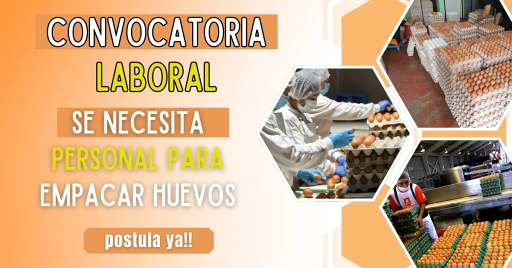 SE BUSCA EMPACADORES DE HUEVOS